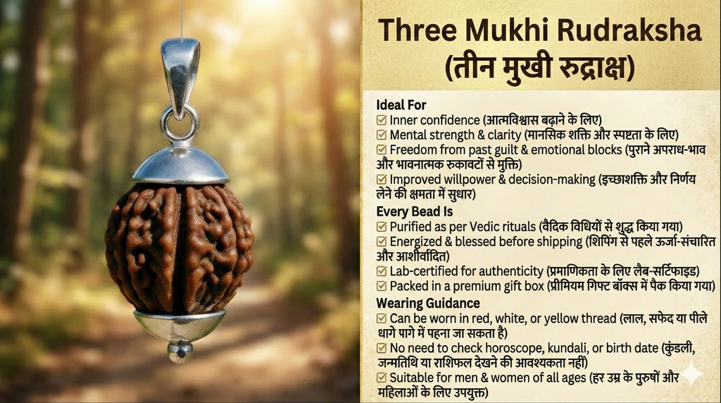 3 Mukhi Lab Certified Original  Rudraksha | Premium Natural Silver Capped Bead | Energized & Vedic Activated | Rudraksha for Confidence, Willpower, Emotional Healing & Stress Relief | For Men & Women