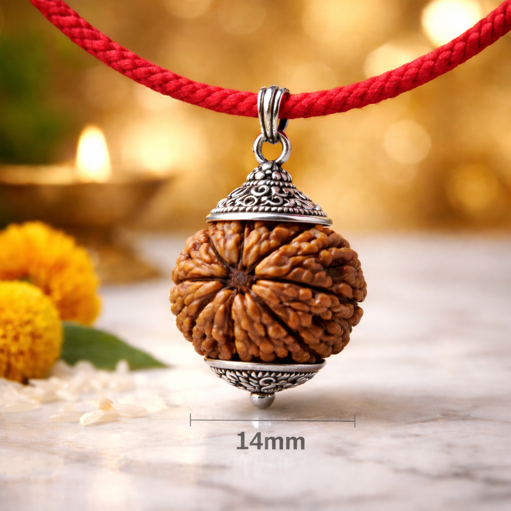 8 Mukhi Rudraksha (Eight Faced) | Lab Certified Original Small Size Rudraksha | Associated with Lord Ganesha & Rahu