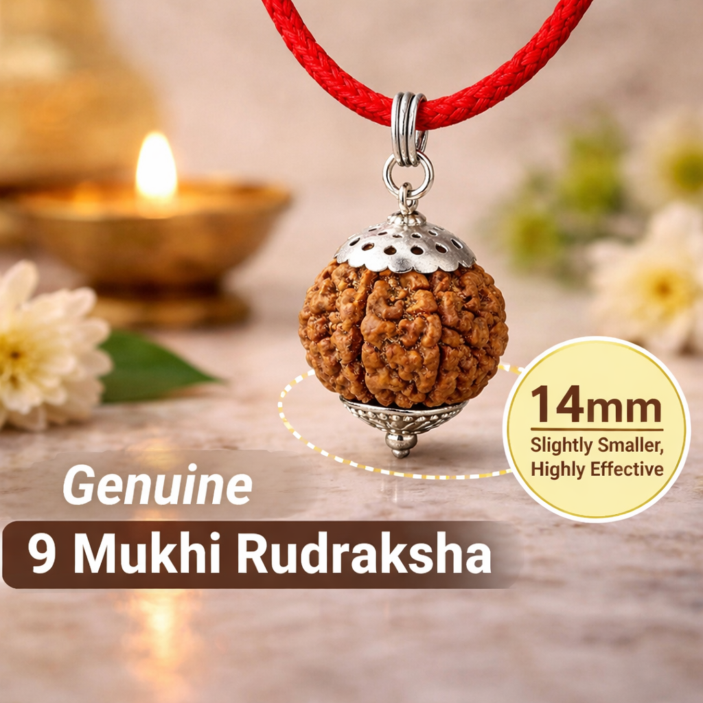 9 Mukhi Rudraksha (Nine Faced) | Lab Certified Original Rudraksha | Associated with Goddess Durga & Rahu